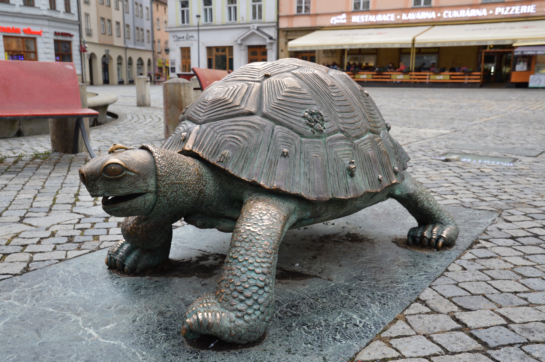 Olomouc, Czech Republic, Turtle