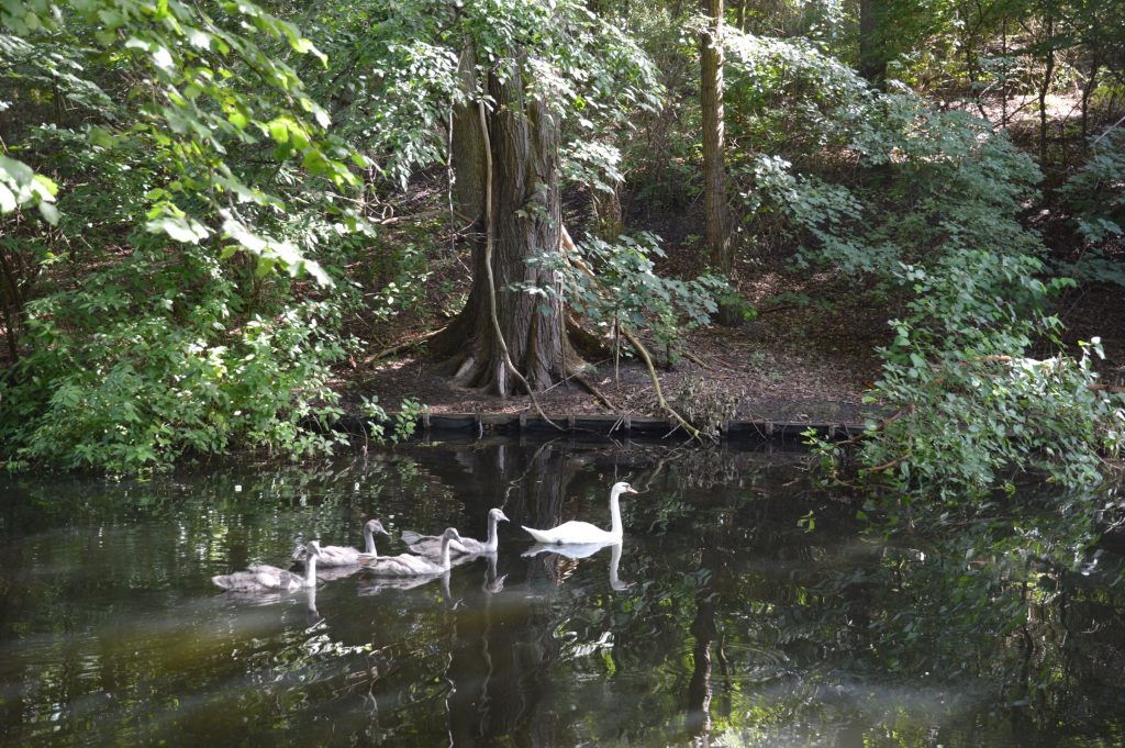 Tiergarten, Berlin, Germany