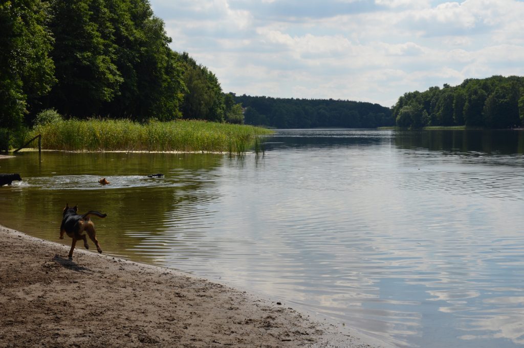 Grunewald, Berlin, Germany