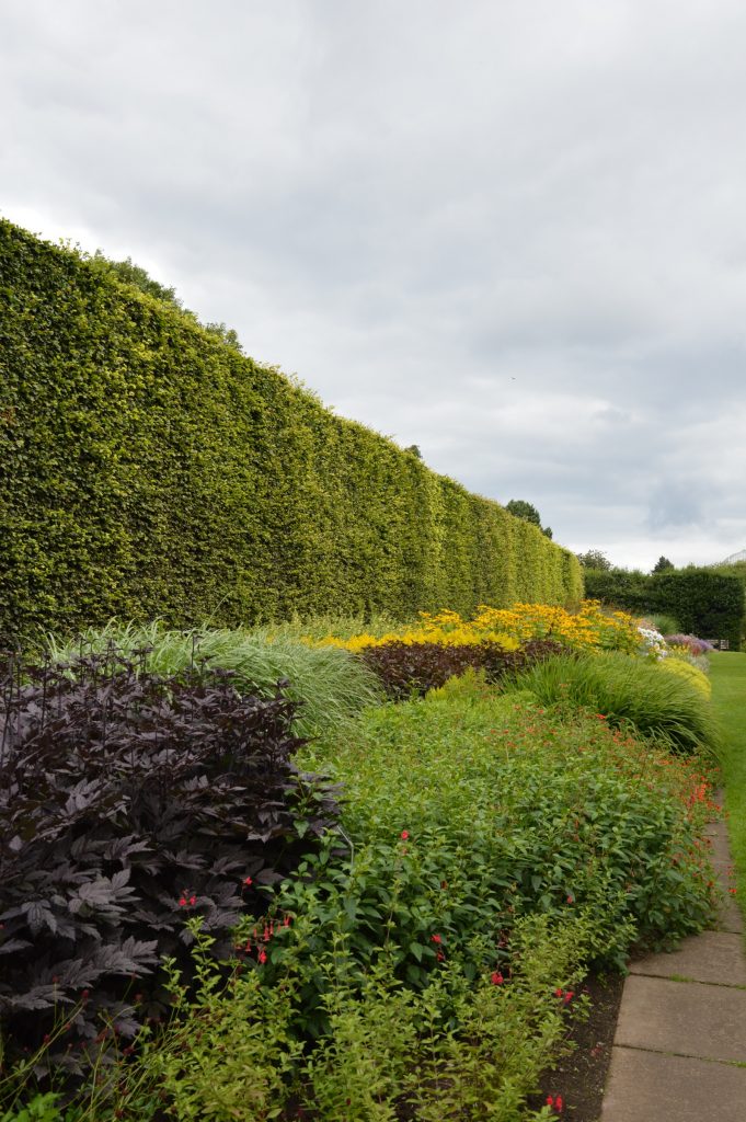 Botanical Gardens, Edinburgh, Scotland