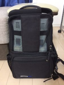 Portable oxygen concentrator in backpack