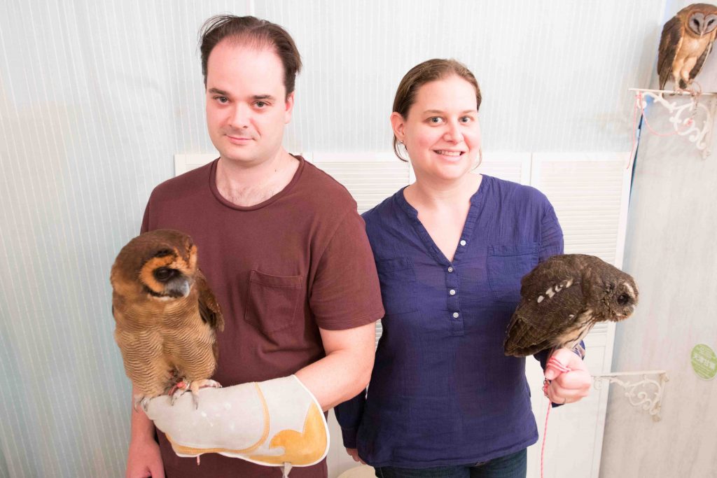 Amazing picture taken by the staff at Akiba Fukurou owl cafe, Tokyo, Japan