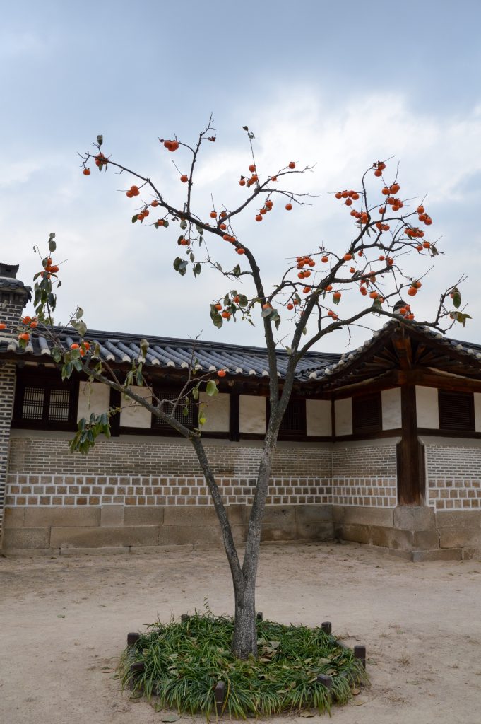 Changdeokgung Palace, Seoul, South Korea