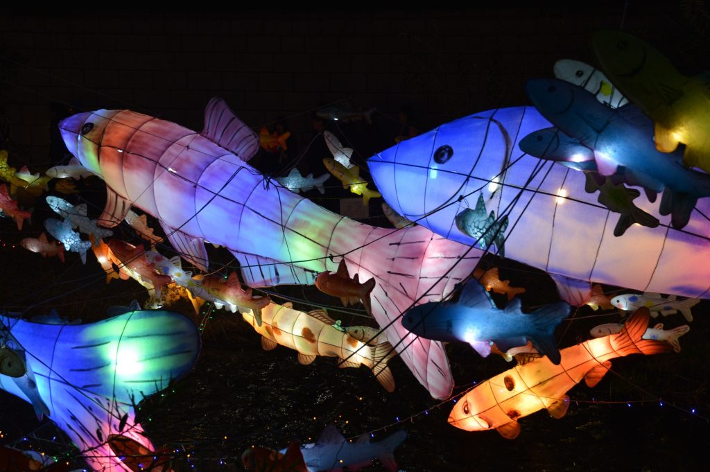 2016 Lantern Festival, Seoul, South Korea