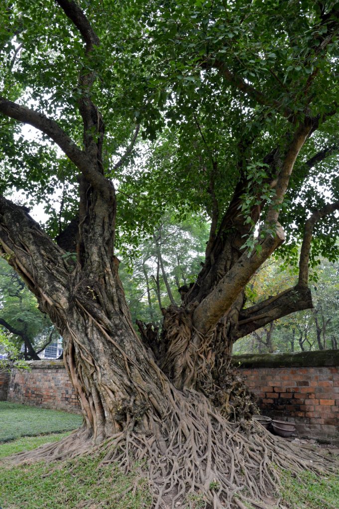 Home of the Three-Eyed Crow, Temple of Literature, Hanoi, Vietnam