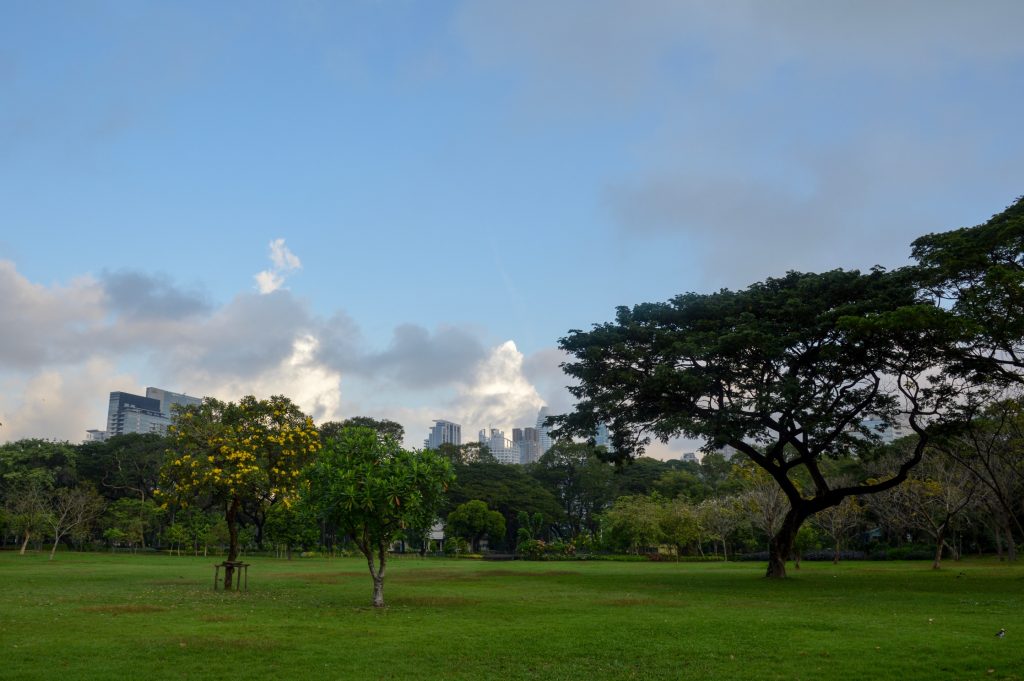 Lumphini Park, Bangkok, Thailand