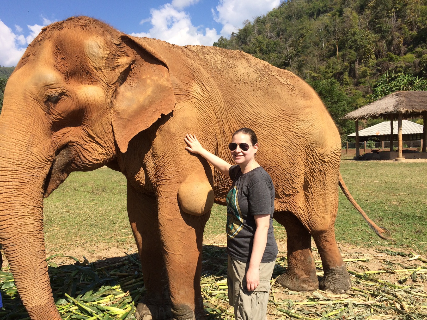 Elephant Nature Park, Chiang Mai, Thailand