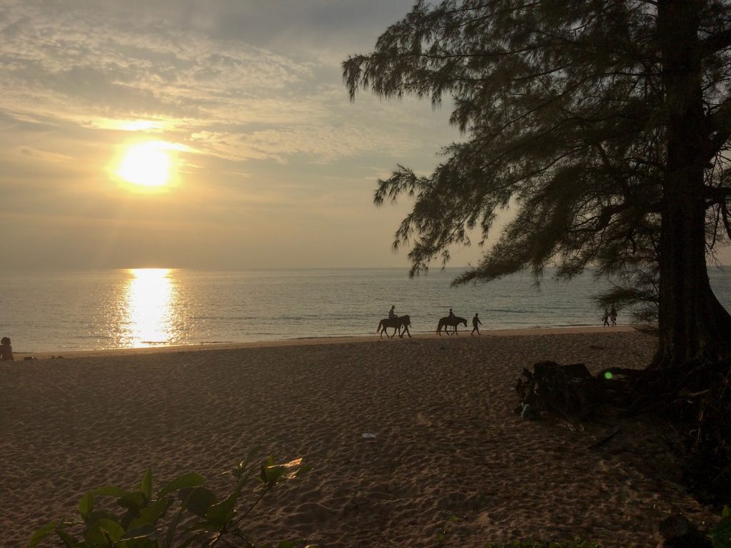 Horses on the beach on Ko Lanta, Thailand