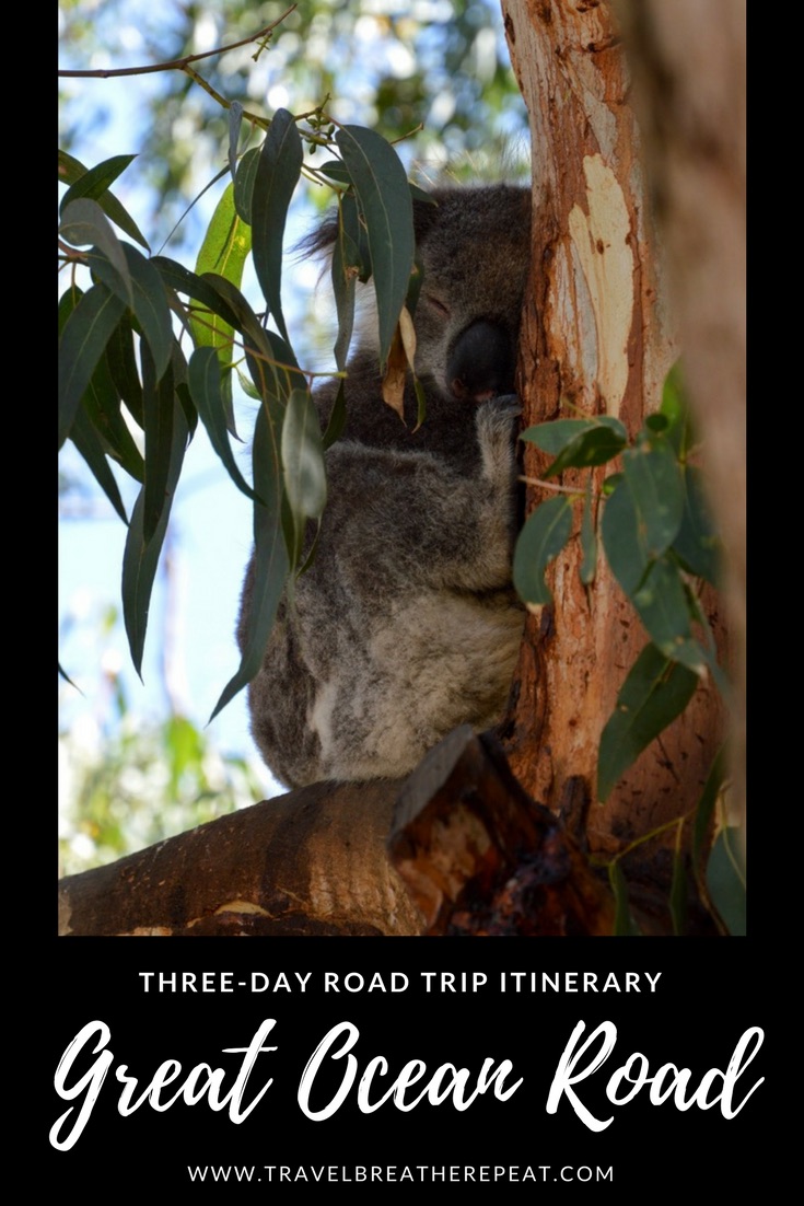 Three-day road trip itinerary for the Great Ocean Road in Australia; drive the Great Ocean Road in Australia; where to see koalas on the Great Ocean Road