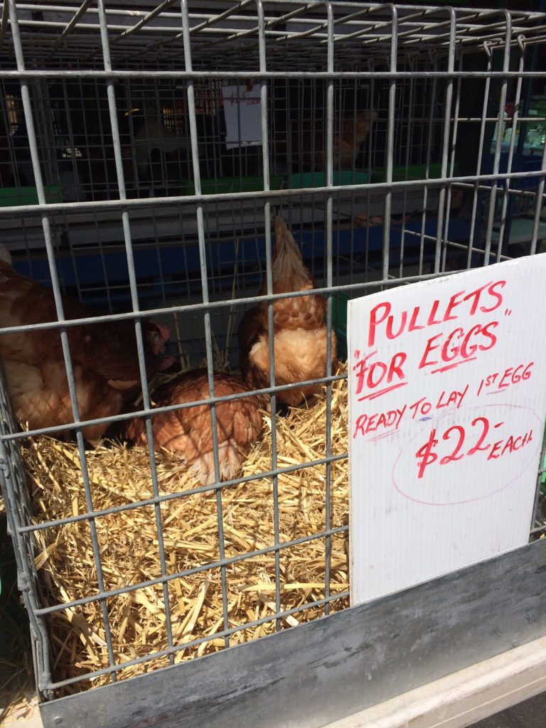 Queen Victoria Market, Melbourne, Australia