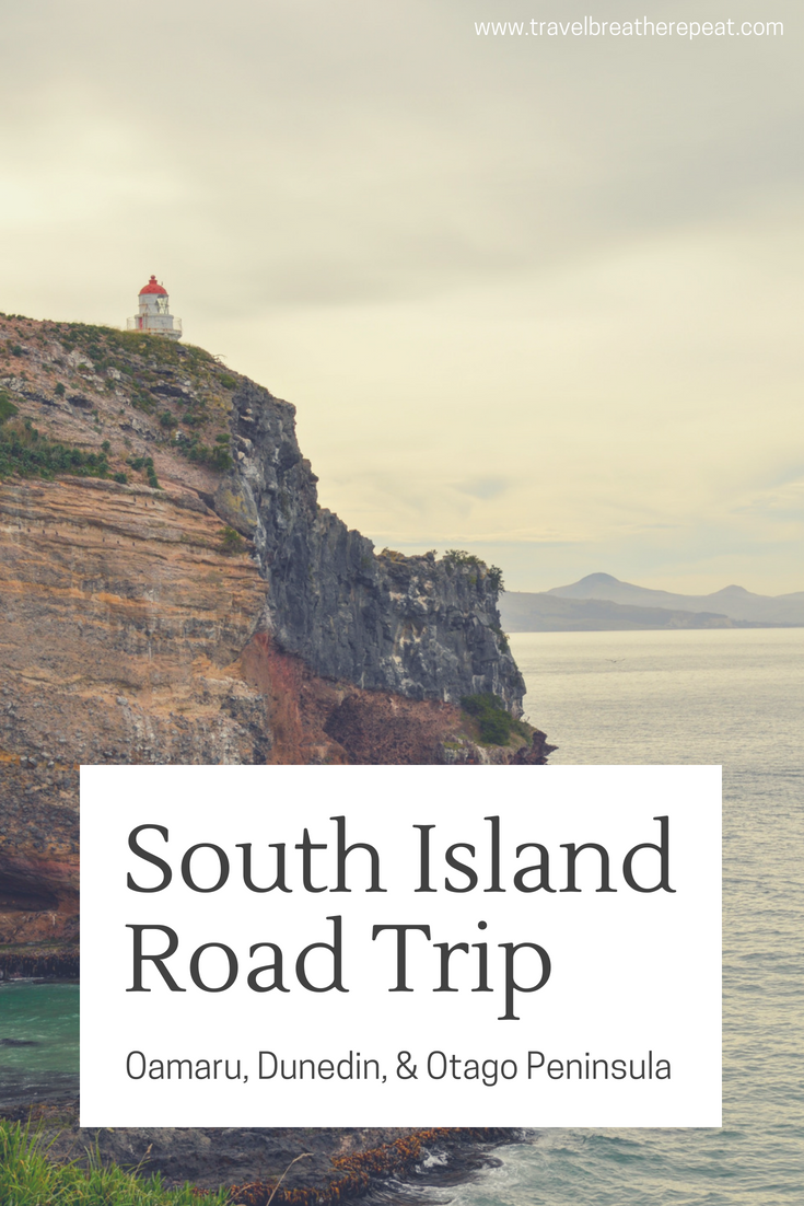 South Island New Zealand road trip: Oamaru, Dunedin, and the Otago Peninsula; things to do in New Zealand; #newzealand #southisland #roadtrip #travelinspiration #traveling