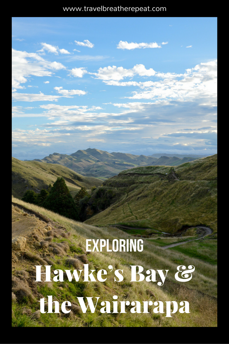 Exploring Hawke's Bay and the Wairarapa in New Zealand