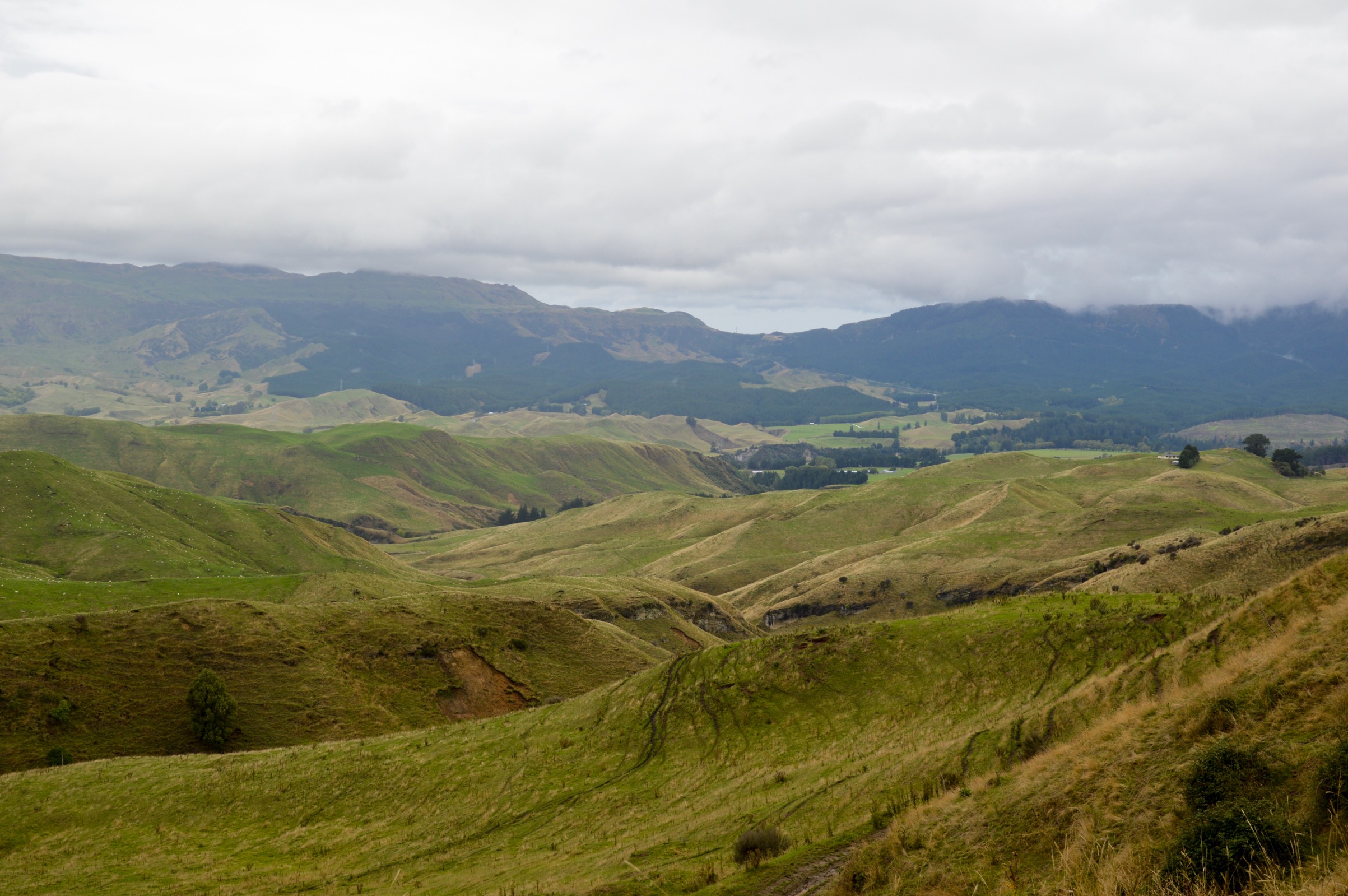 Drive from Taupo to Hawke's Bay, New Zealand