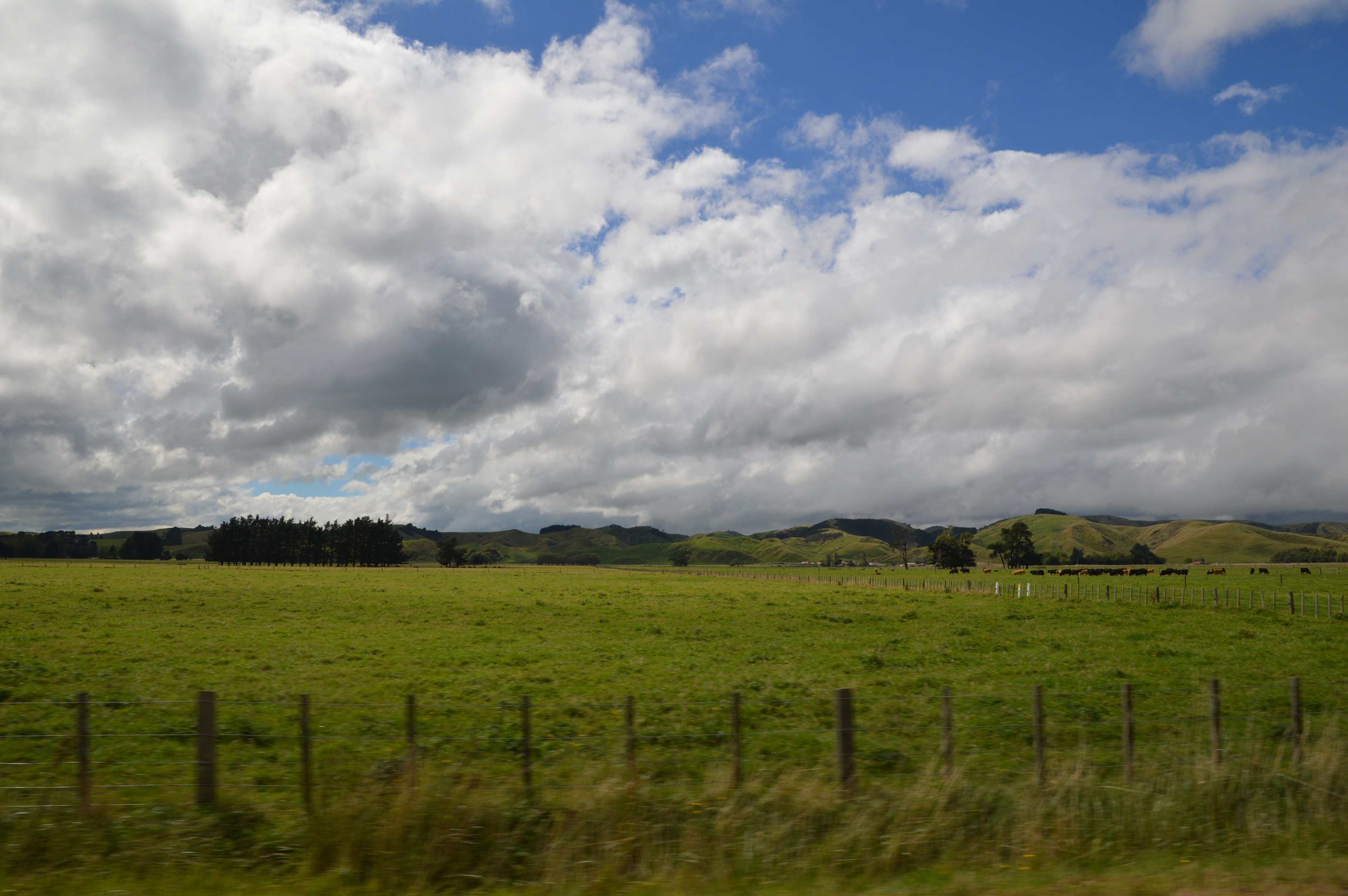 Driving from Taradale to Martinborough, New Zealand