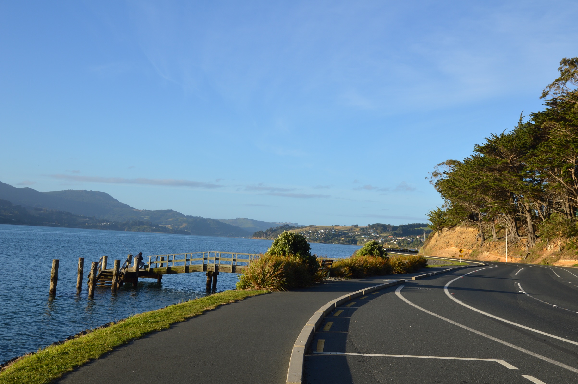 Portobello Road, Otago Peninsula, New Zealand