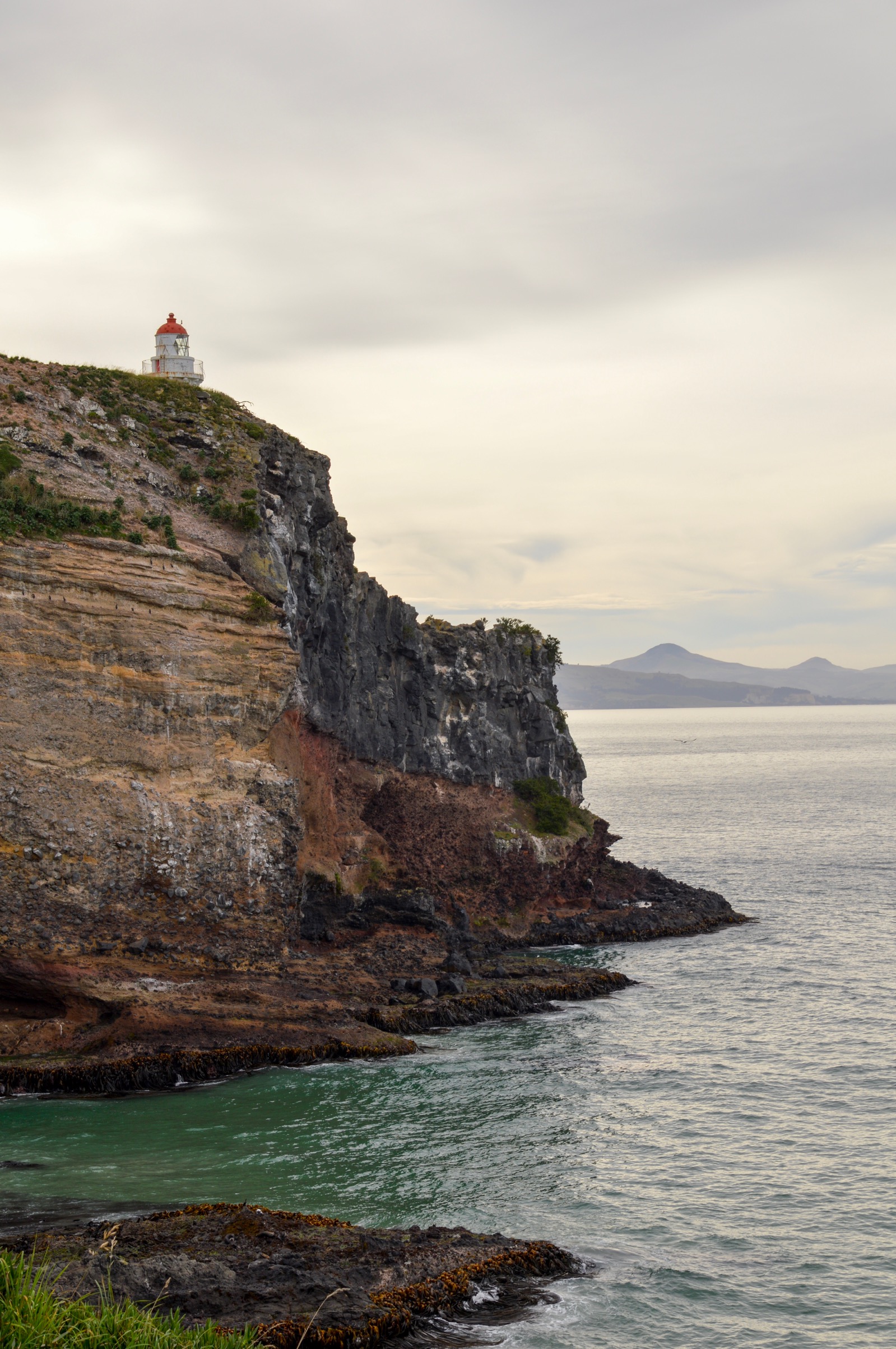 Royal Albatross Centre, Otago Peninsula, New Zealand