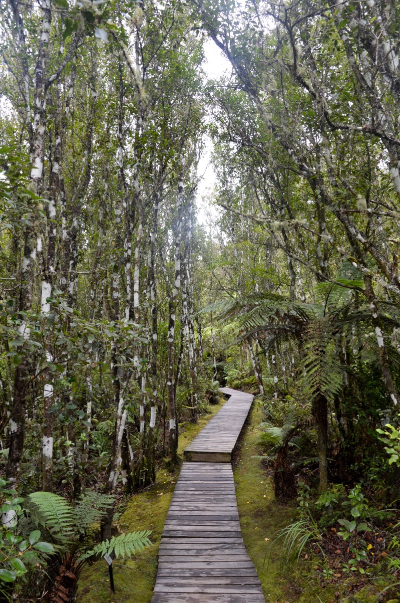 Orakei Korako Geothermal Park and Cave, New Zealand