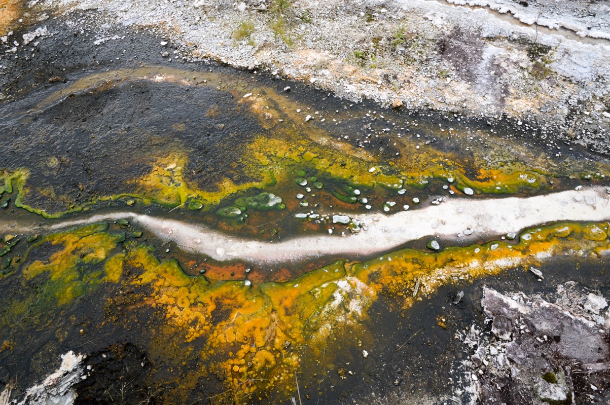 Orakei Korako Geothermal Park and Cave, New Zealand