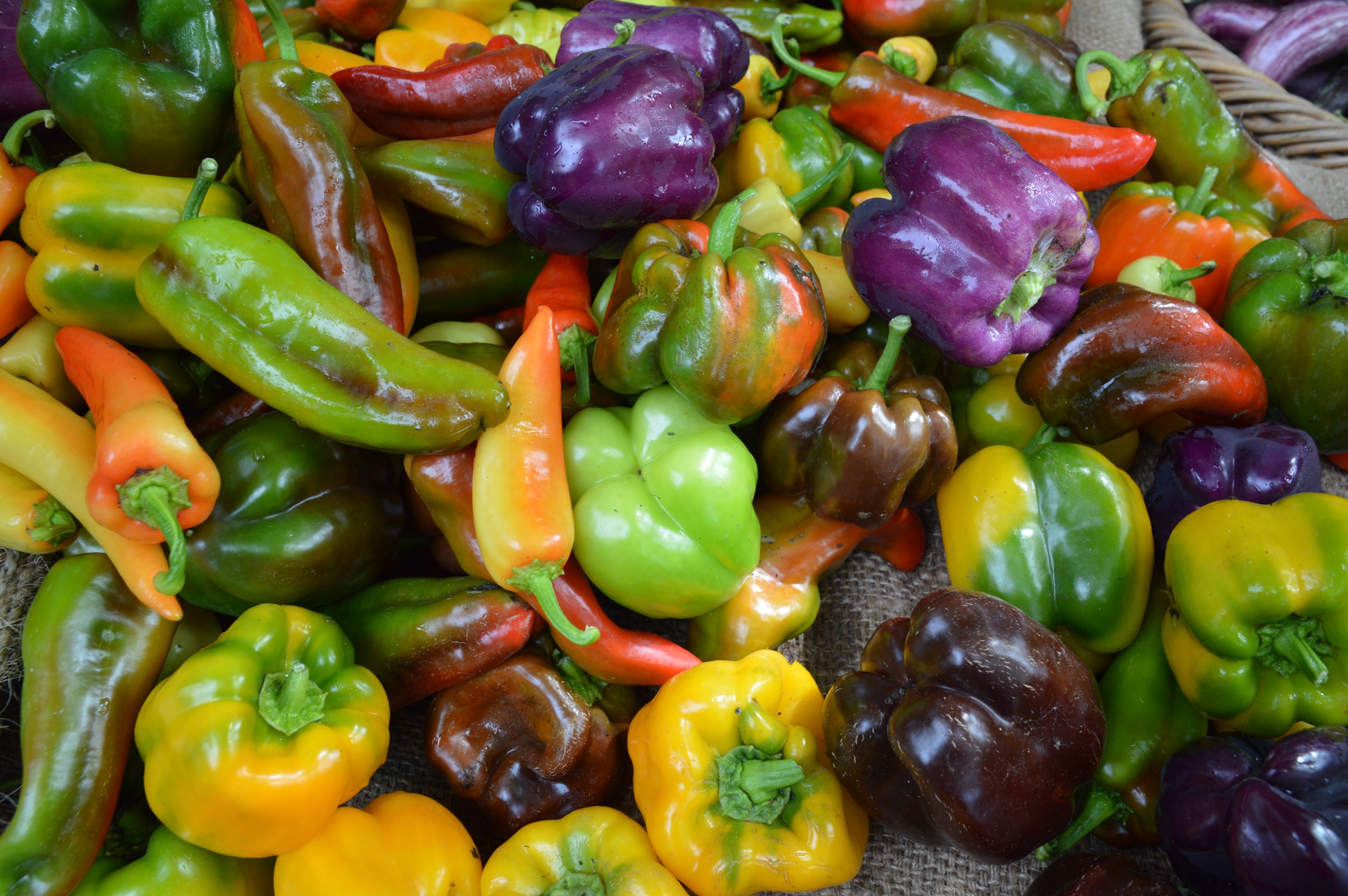 Hawke's Bay Farmers Market, New Zealand