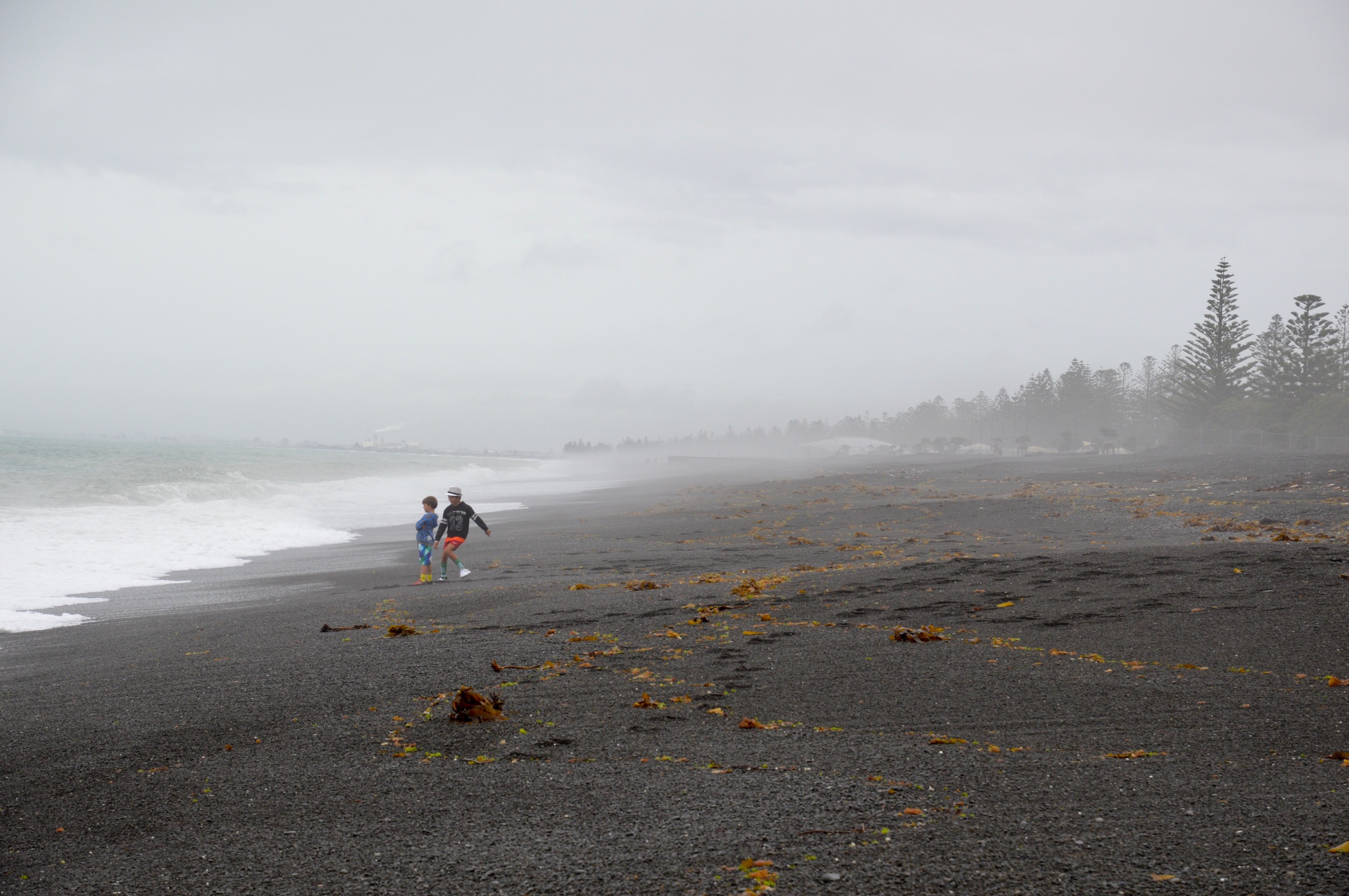 Beach in Napier, New Zealand