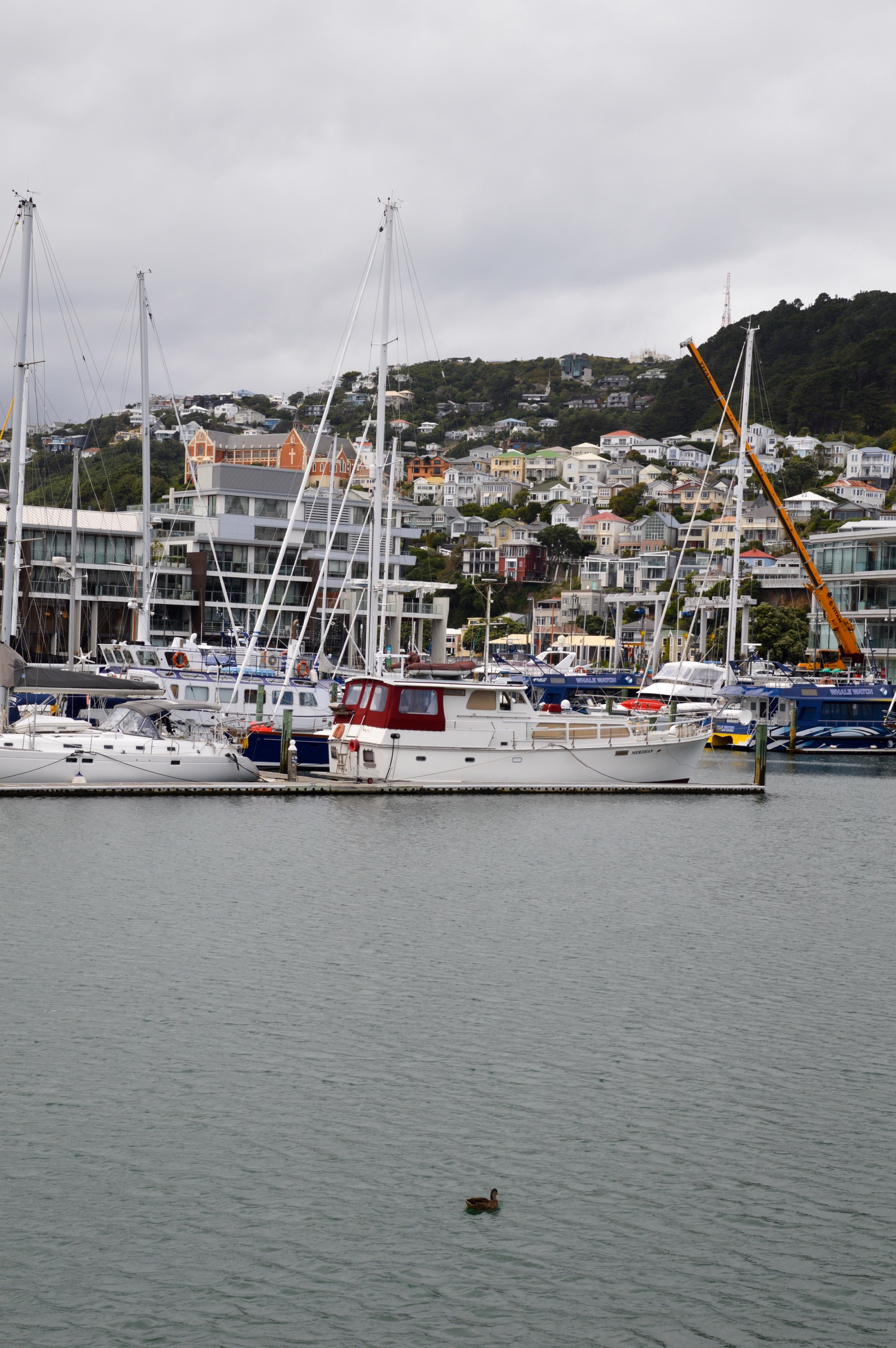 Lambton Harbour, Wellington, New Zealand