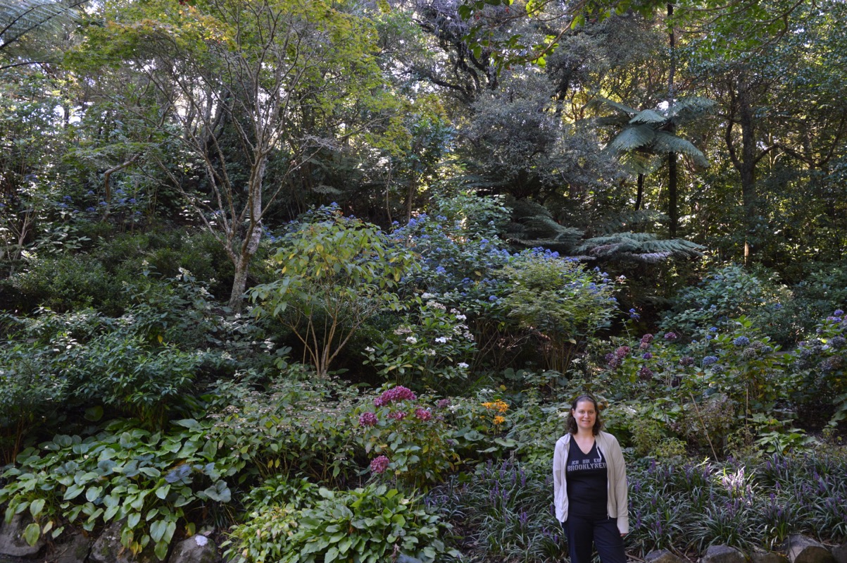 Wellington Botanic Garden, New Zealand