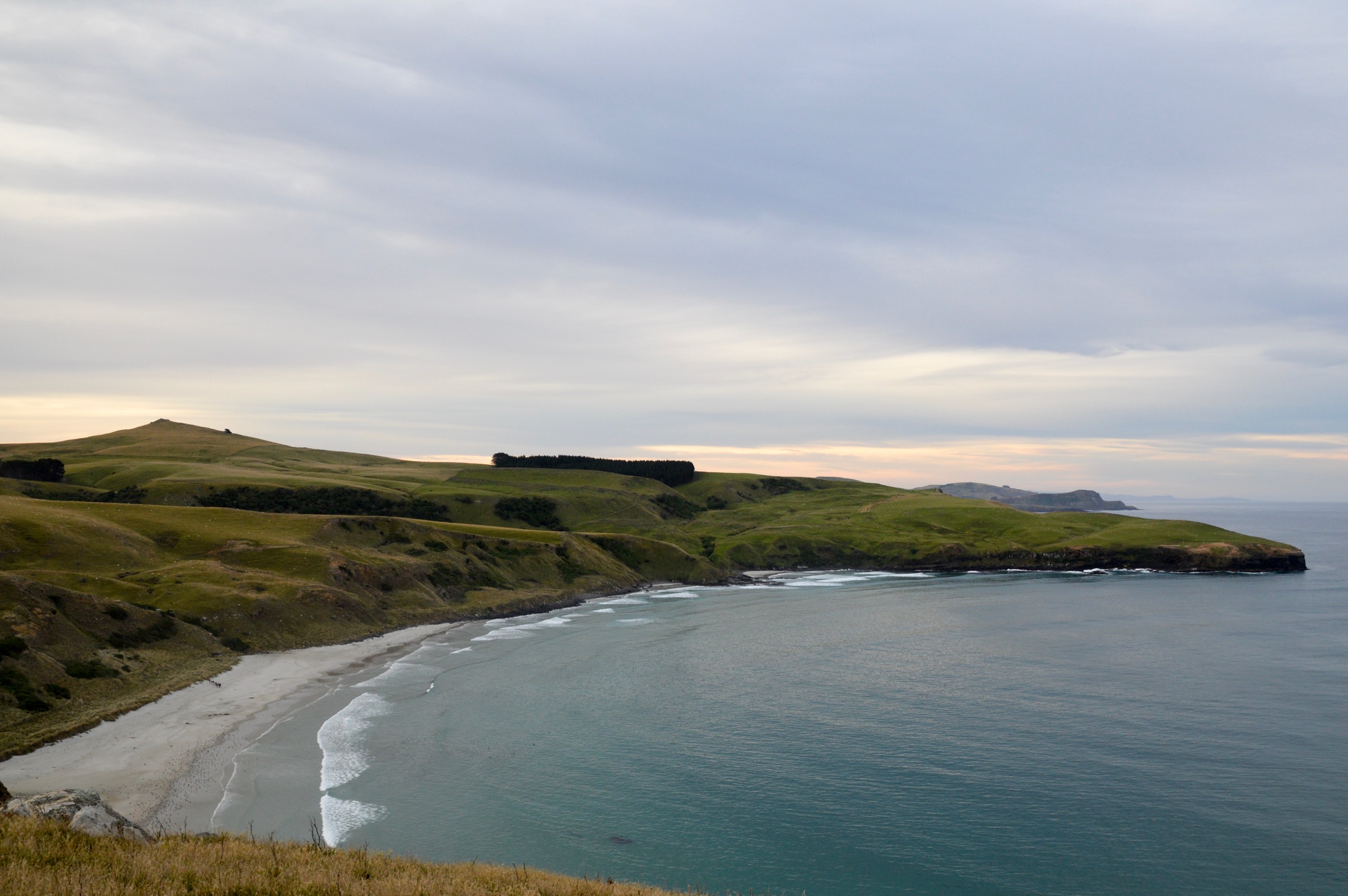 Otago Peninsula, New Zealand