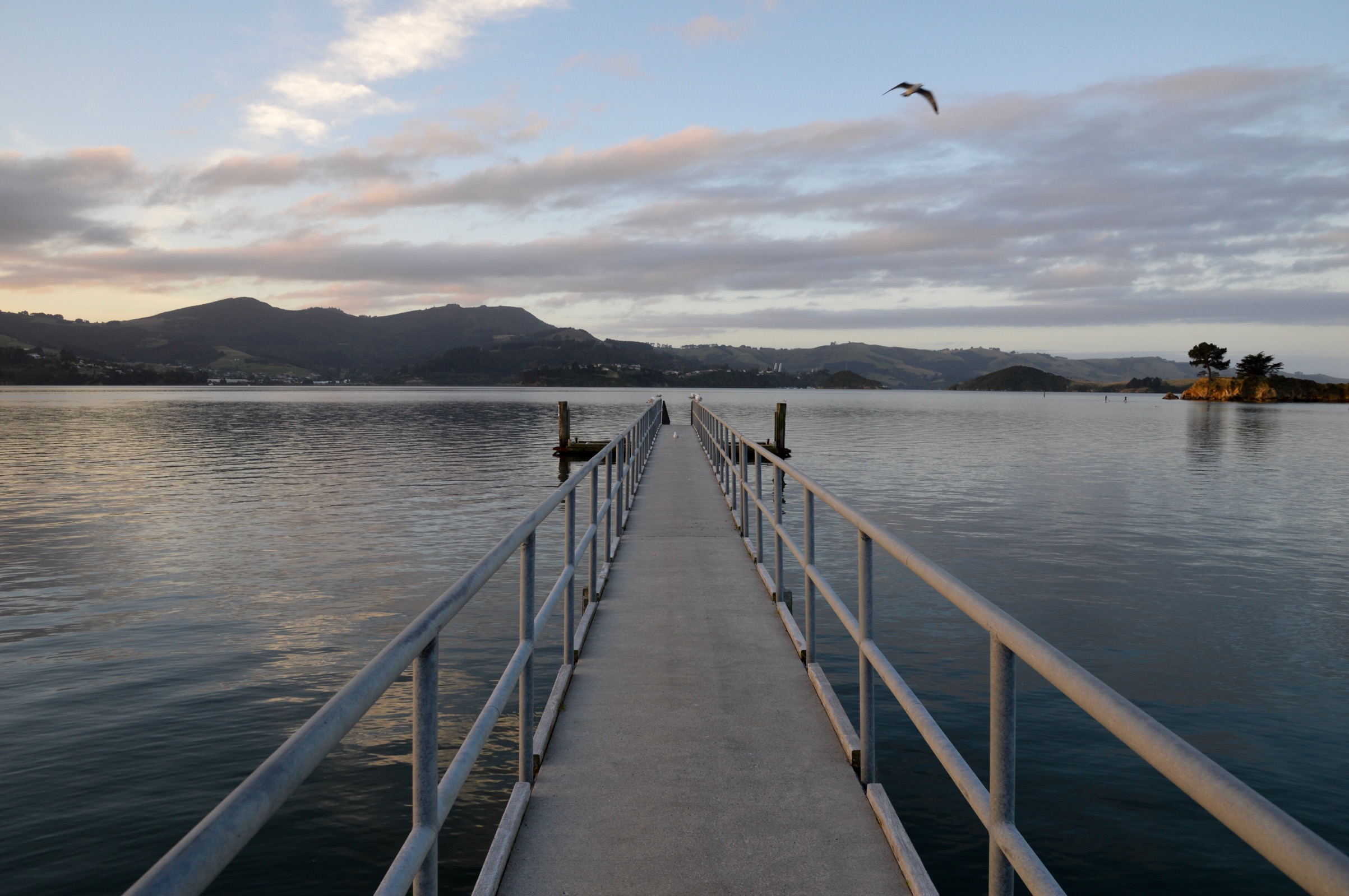 Broad Bay, Otago Peninsula, New Zealand