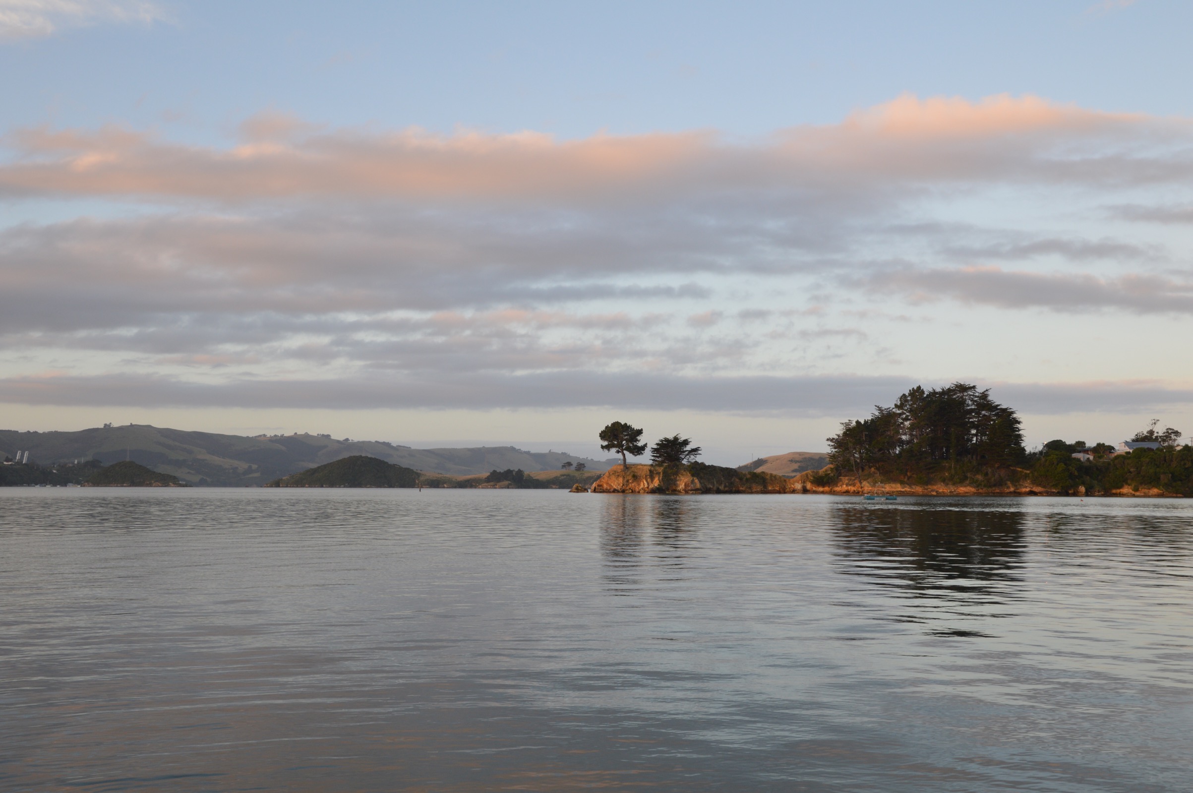 Broad Bay, Otago Peninsula, New Zealand