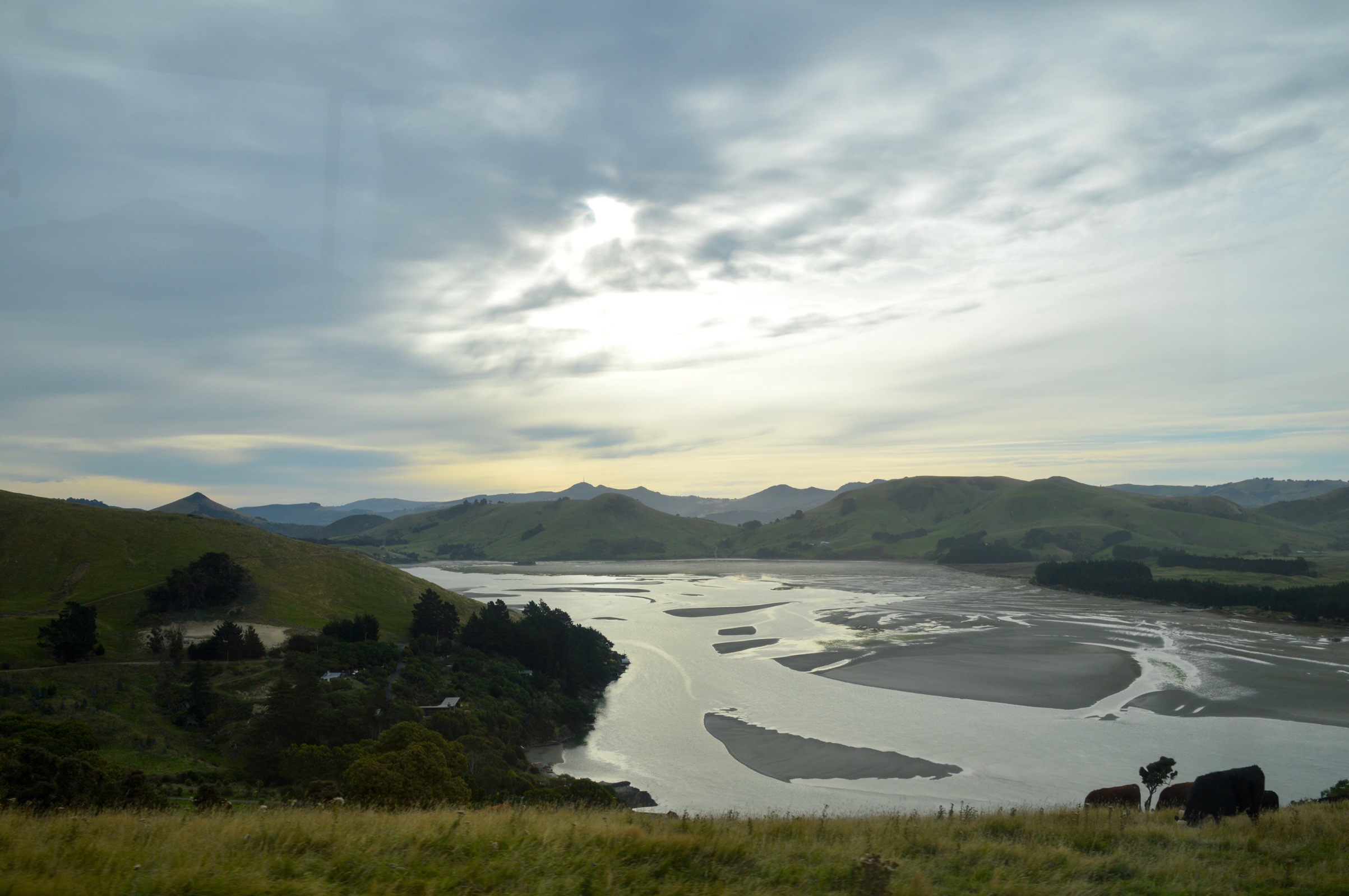 Otago Peninsula, New Zealand