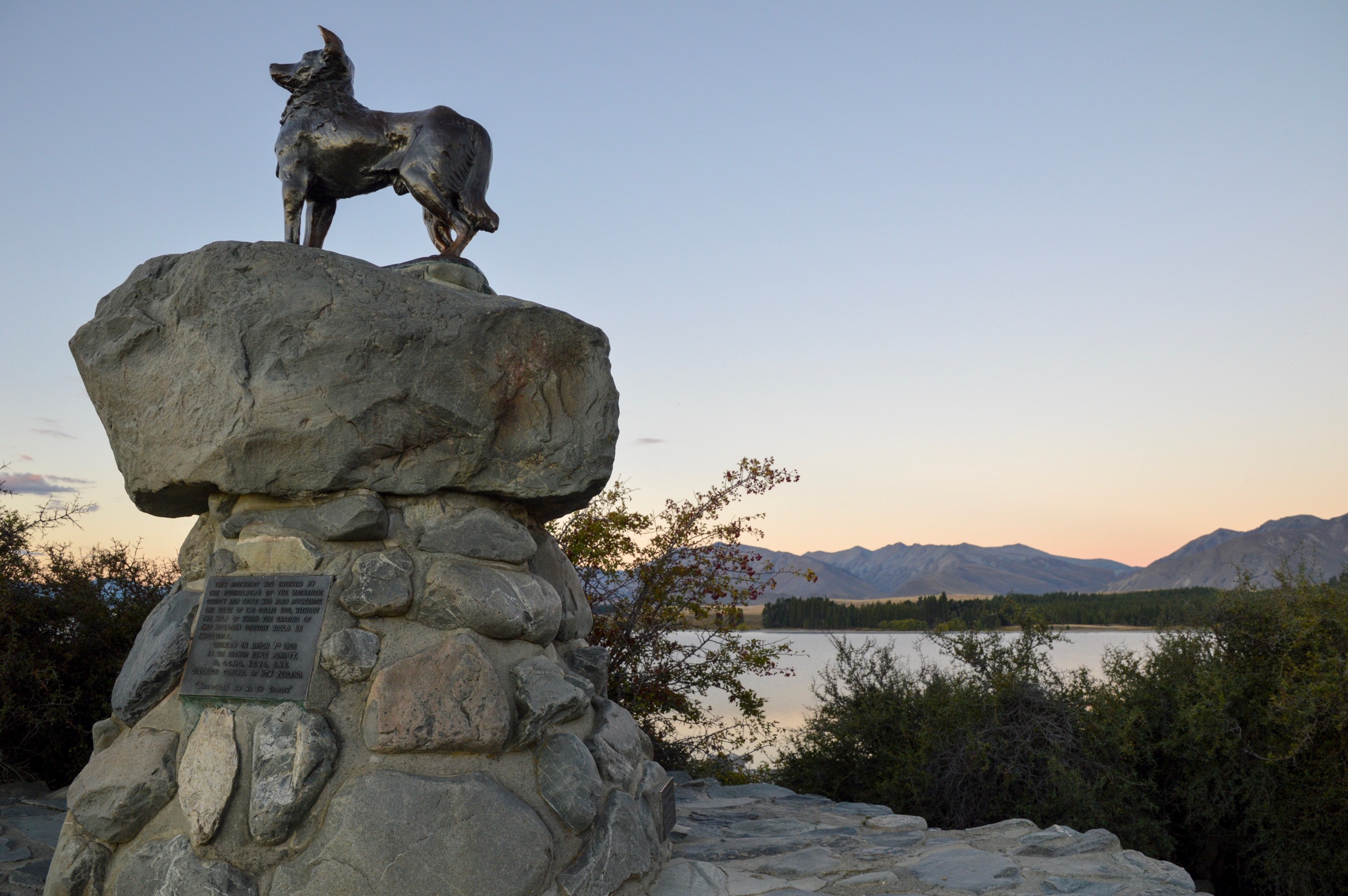 Mackenzie Sheepdog Statue, Lake Tekapo, New Zealand