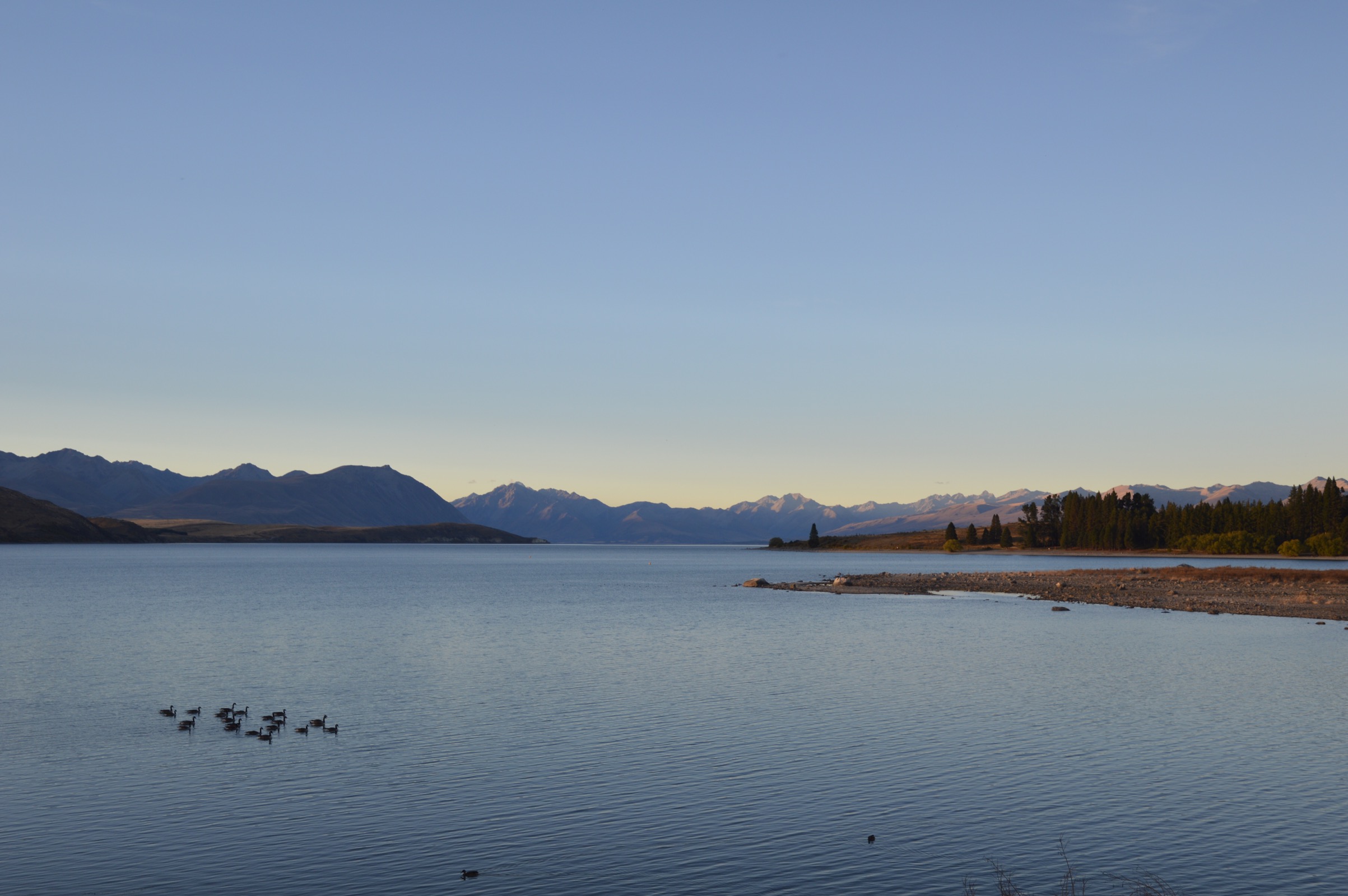 Lake Tekapo, New Zealand