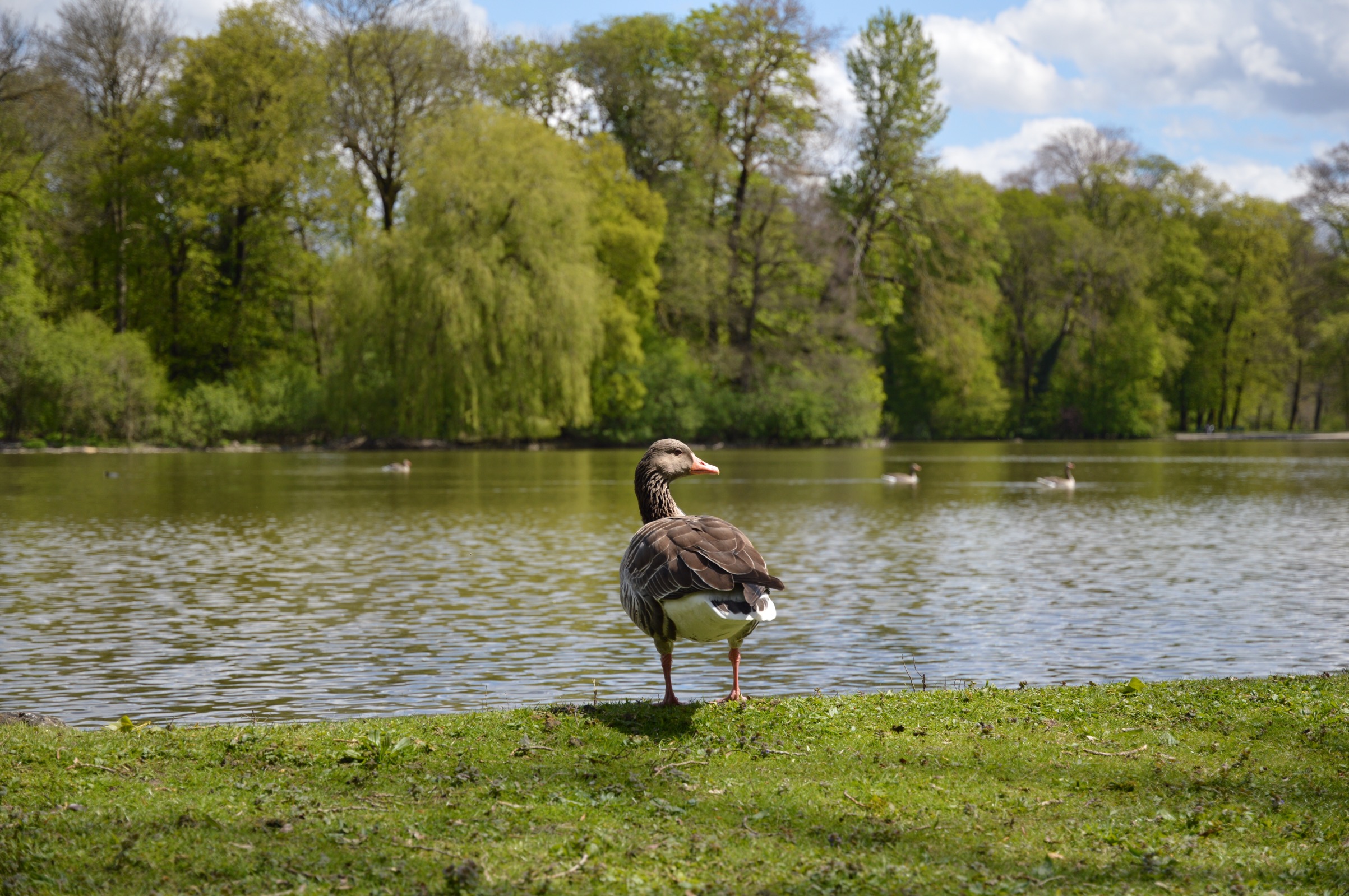 Englischer Garten, Munich, Germany
