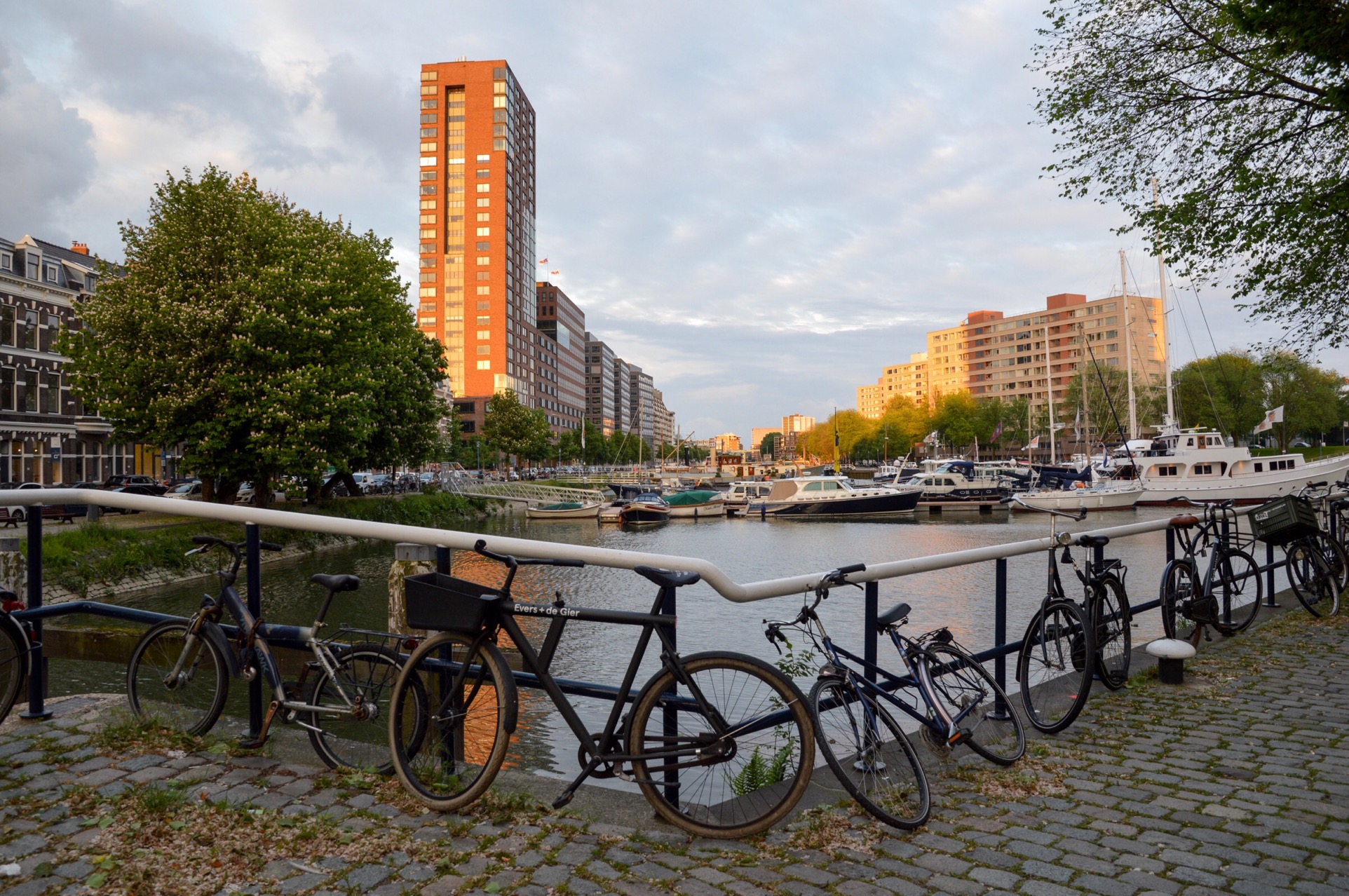 Bikes in Rotterdam, the Netherlands