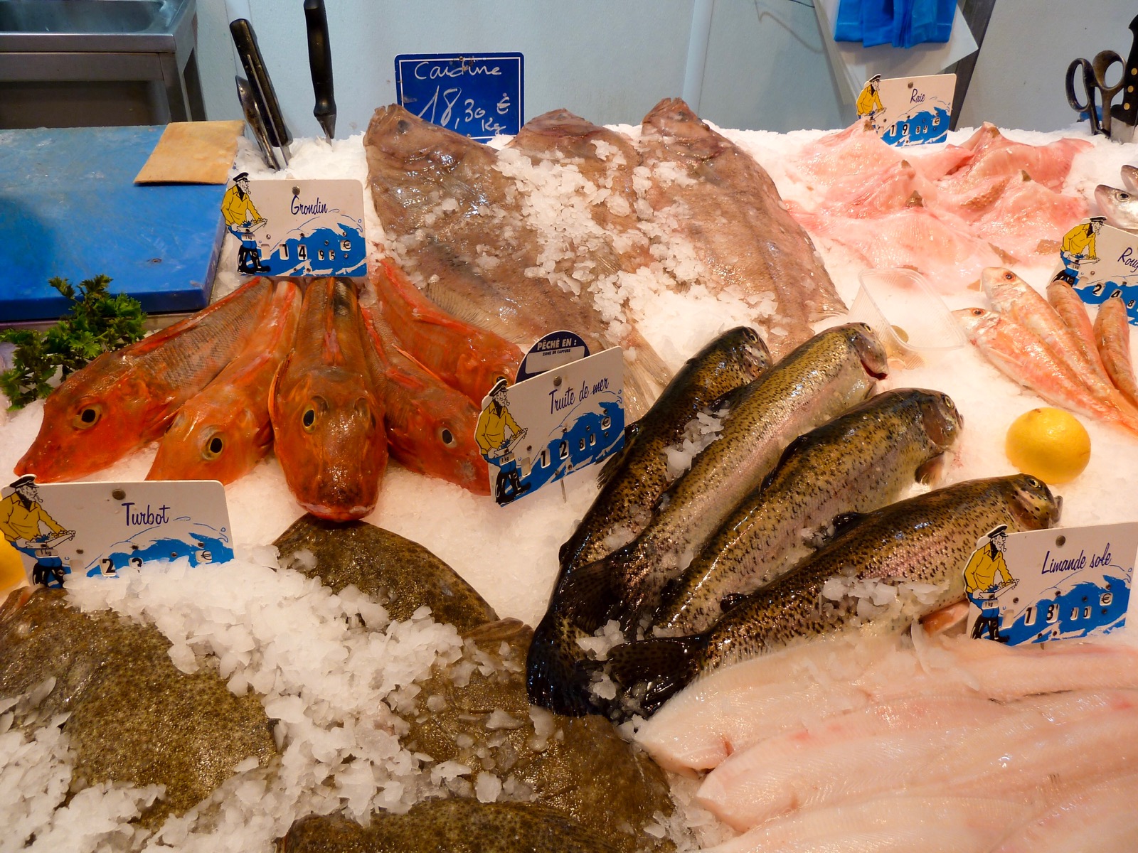 Fish, Montmartre, Paris, France