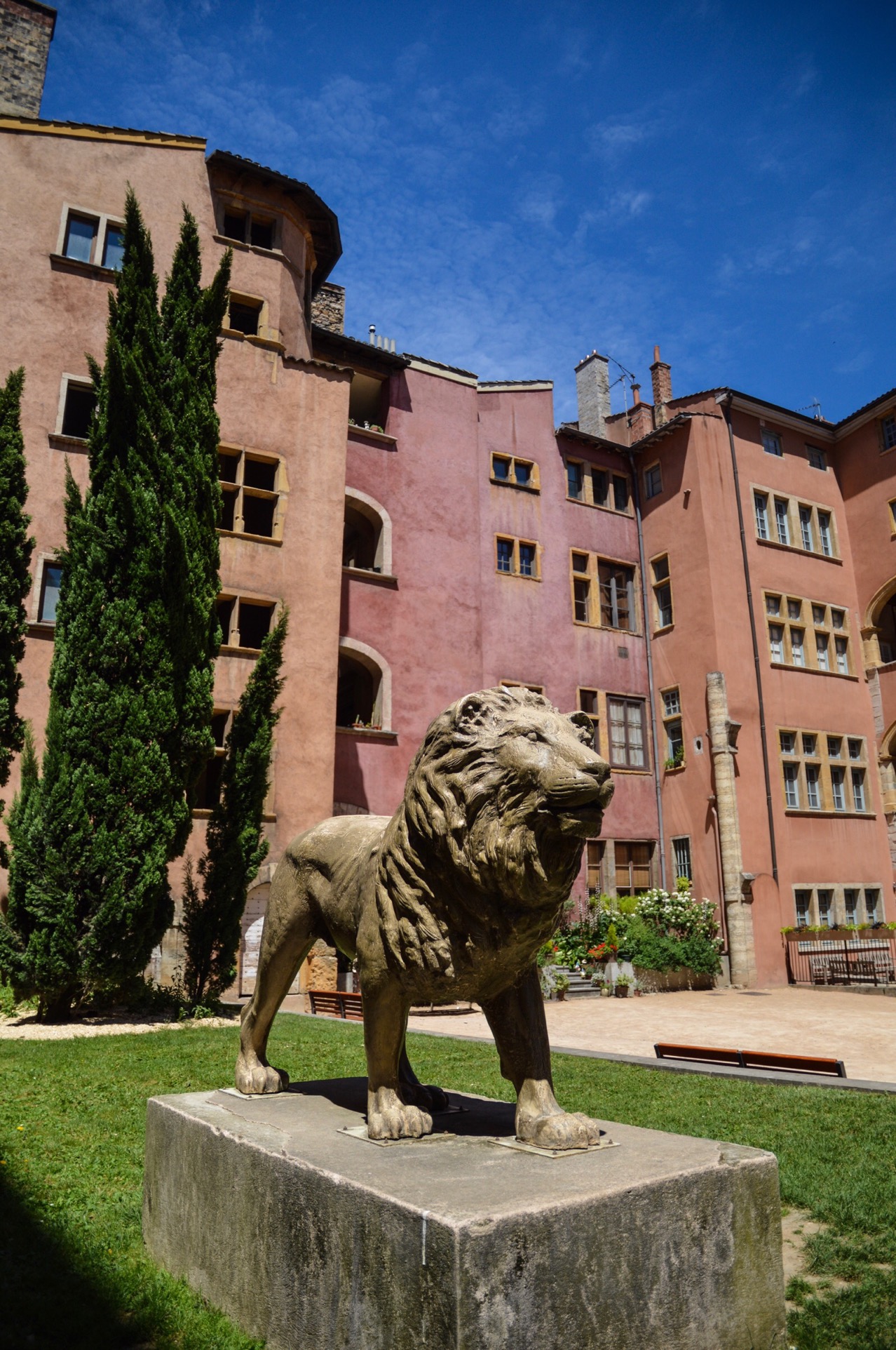 Lion, Lyon, France