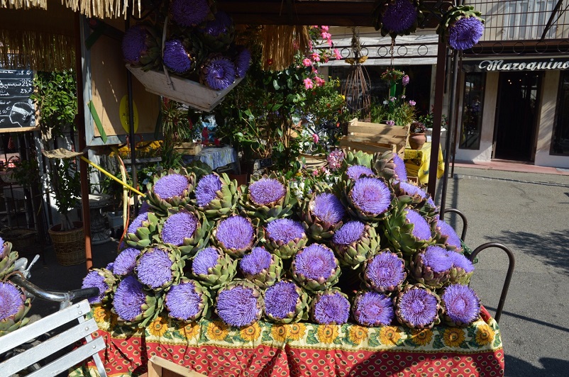 Purple artichoke flowers at L'Isle-sur-la-Sorgue market in Provence, France