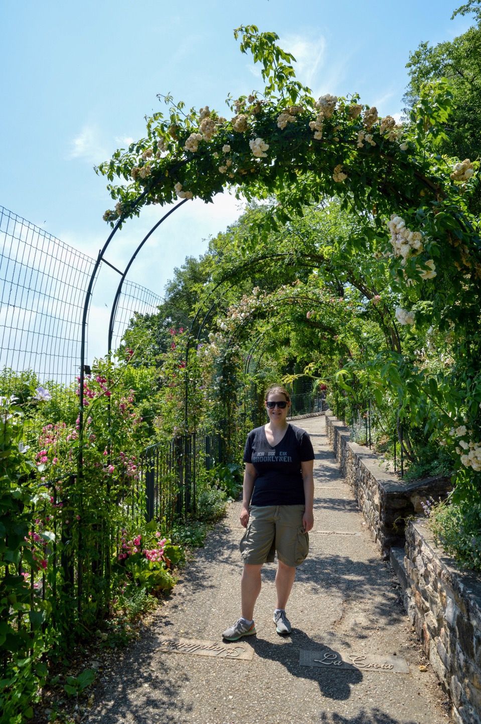 Rose garden, Parc des Hauteurs, Lyon, France