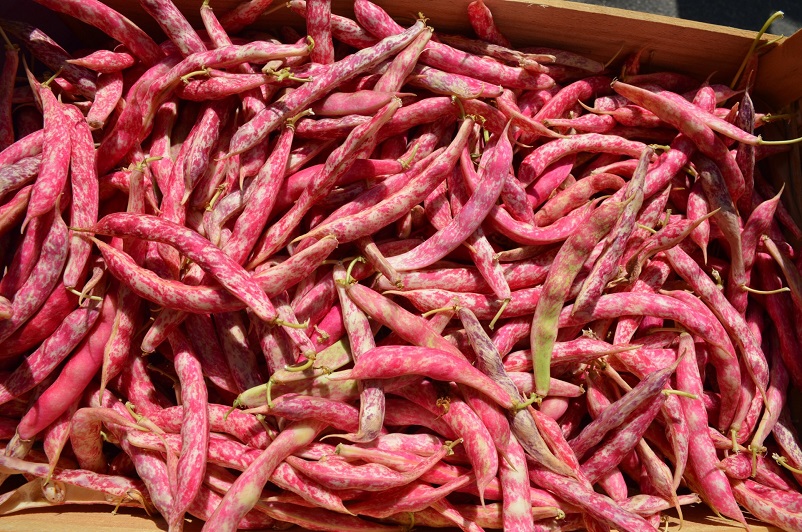 Bright pink beans at L'Isle-sur-la-Sorgue market in Provence, France