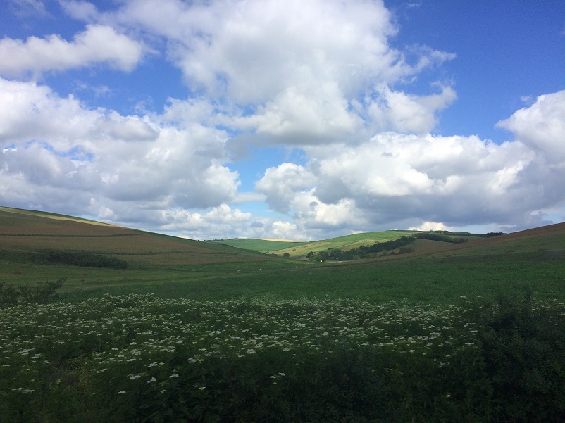 Large green field under a blue cloudy sky; seeing Romania by train