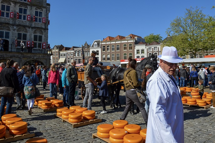 Gouda Cheese Market, the Netherlands