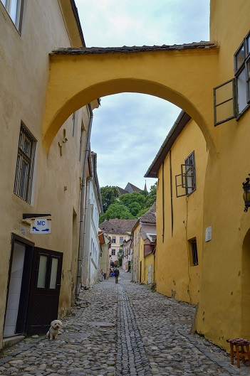 Citadel, Sighisoara, Romania
