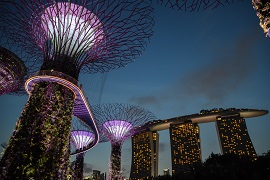 Singapore night view of sky trees