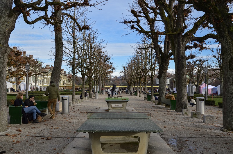 Ping pong tables under a canopy of knobby trees in Bern, Switzerland