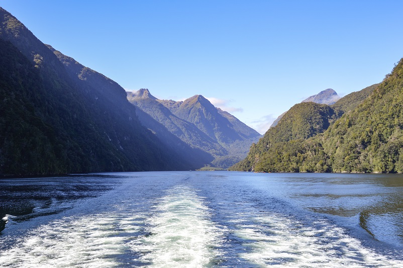 White water current in front of mountains on the Doubtful Sound cruise in New Zealand