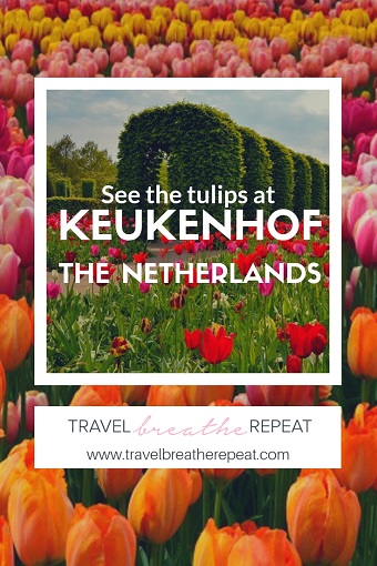Tips and inspiration for visiting Keukenhof in the Netherlands. How to see Dutch tulips at Keukenhof gardens. #keukenhof #tulips #netherlands #travel #europe #holland