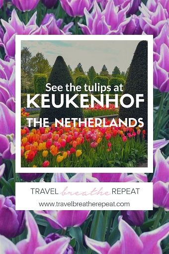 Tips and inspiration for visiting Keukenhof in the Netherlands. How to see Dutch tulips at Keukenhof gardens. #keukenhof #tulips #netherlands #travel #europe #holland