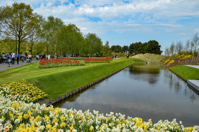 Grounds at Keukenhof showing water, yellow and white tulips, and a flat road with people