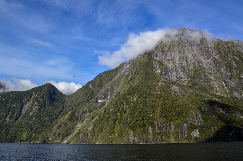 Small plane flying above mountains seen from the Milford Sound cruise in New Zealand