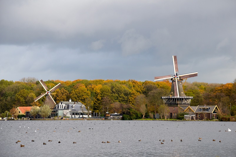 Two windmills in front of autumn-colored trees behind a lake in Rotterdam